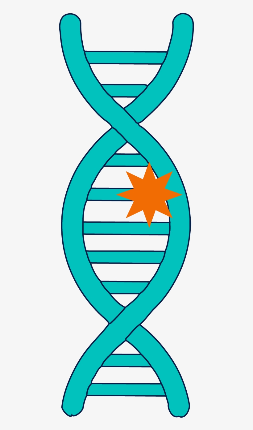 A Mutation In A Gene Refers To A Change In The Underlying - Nikumaroro Island, transparent png