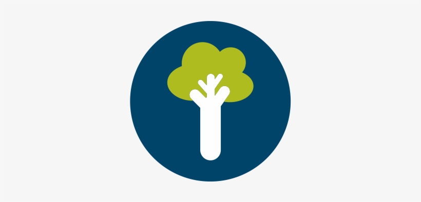 Discovery Zone, Inc., transparent png
