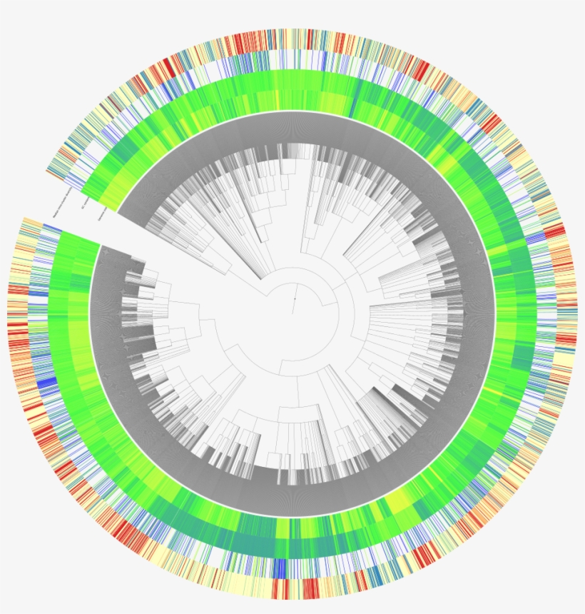 Itol Tree - Disc Brake, transparent png