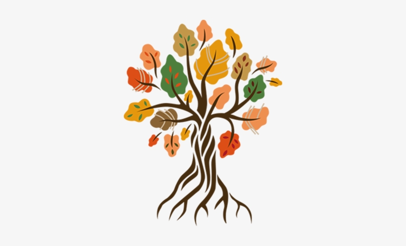 Introduction To Community And Primary Health Care (ebook), transparent png