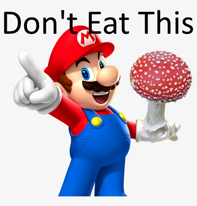 Can Eat A Amanita Muscaria / Super Mushroom Raw - Mario Mario Party 9, transparent png