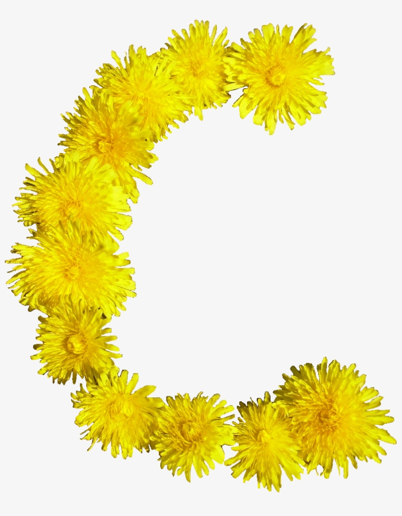 File - Blumen-c - Blumen C, transparent png