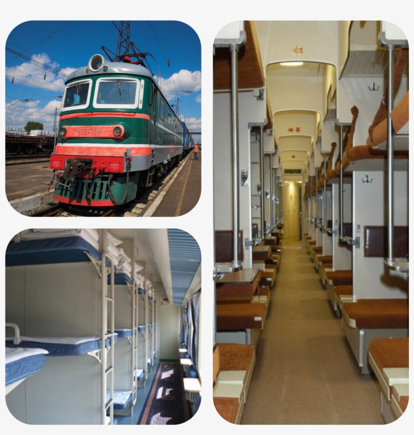 The Third Type, Strangely Enough, Is Called Third Class - Transmon, transparent png