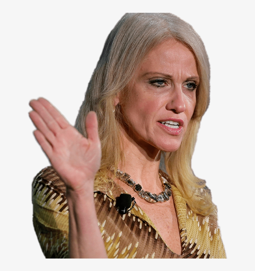 Download - Kellyanne Conway Hands, transparent png