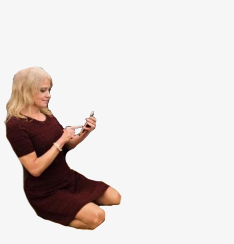 8pbgy8b - Kelly Anne Conway Kissing, transparent png
