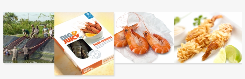 Tiger Prawns - Botan Shrimp, transparent png