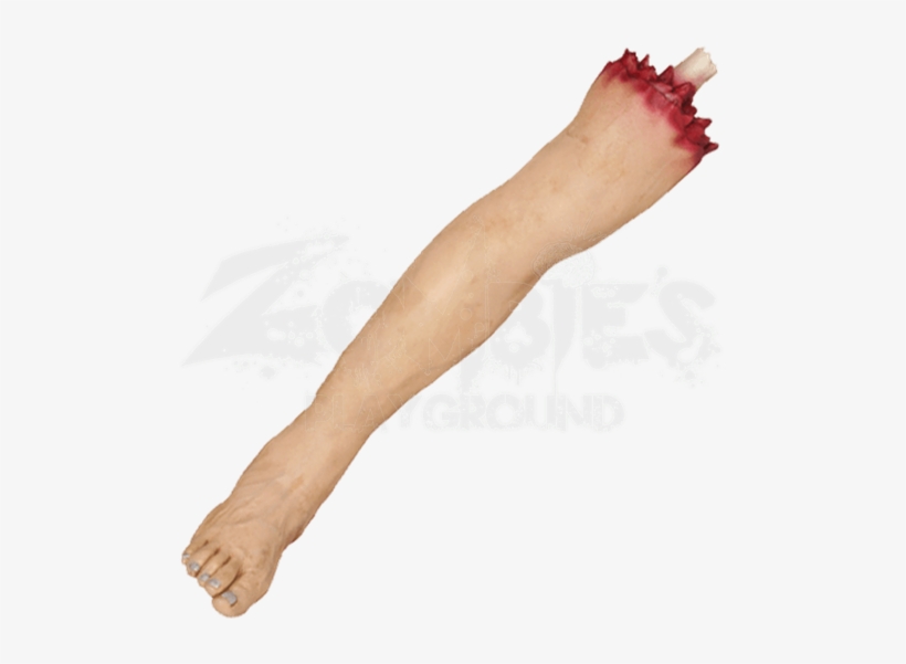 Severed Leg - Severed Leg Transparent, transparent png