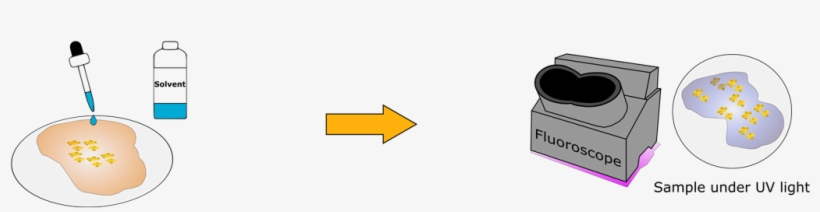 Grab The Dry Watch Glass Sample And Place Several Grains - Diagram, transparent png