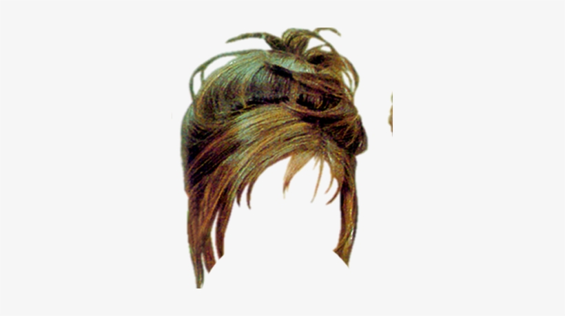 Pelucas Png Para Photoshop - Insect, transparent png