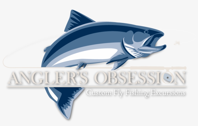 Fly Fishing Guide - Cetacea, transparent png