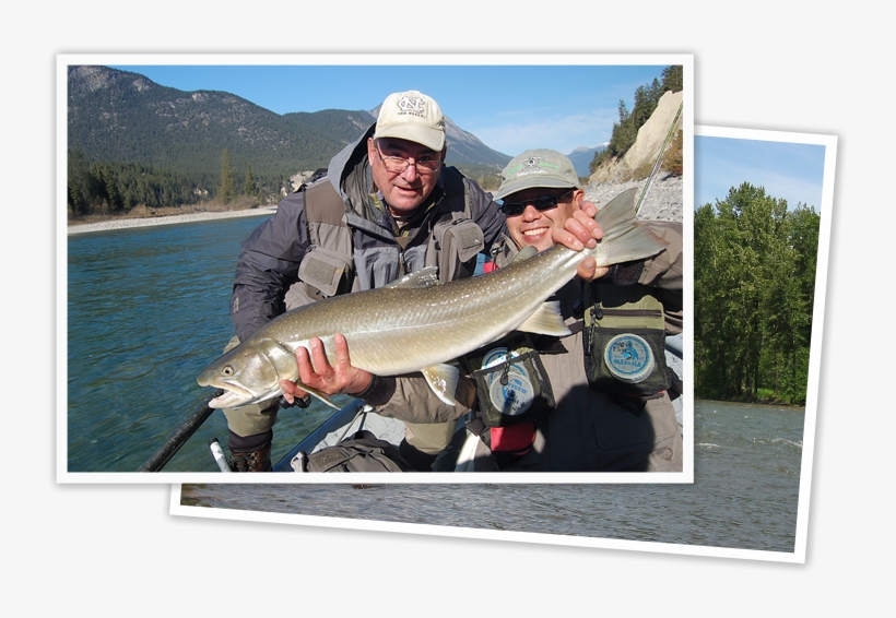 Guided Fly Fishing Trip - Kootenay Fly Shop & Guiding Co., transparent png