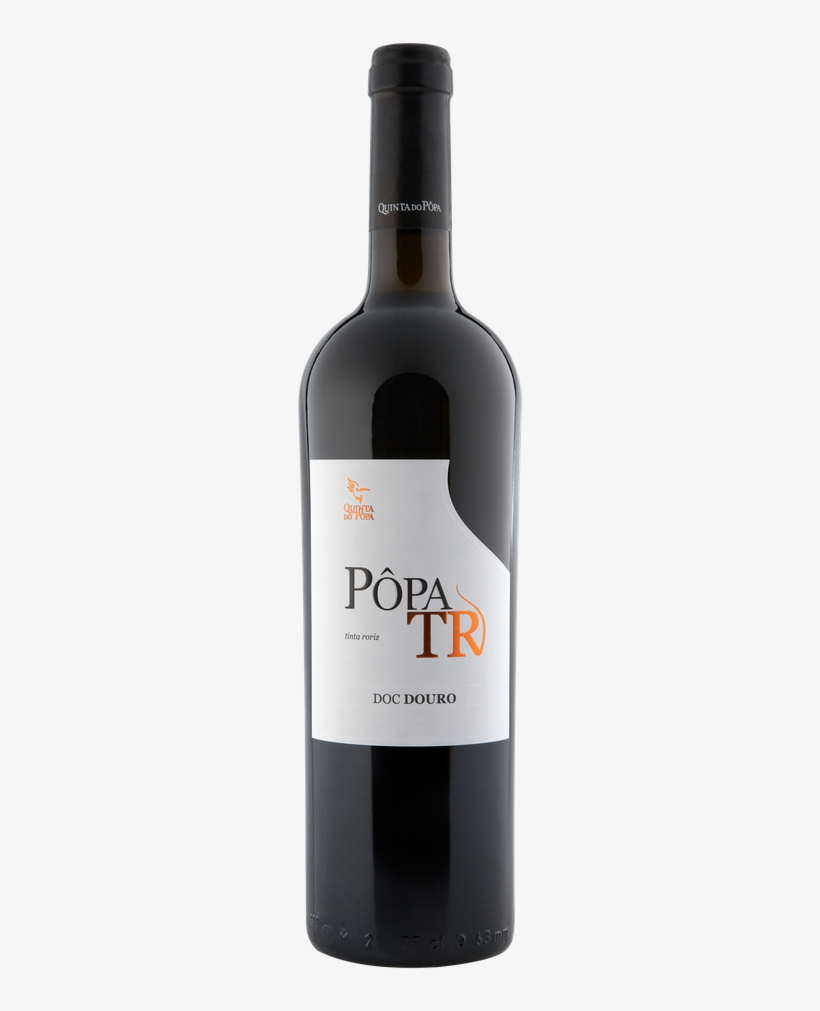 Pôpa Tinta Roriz 2011 - Pio Cesare Barbera D Alba Fides, transparent png