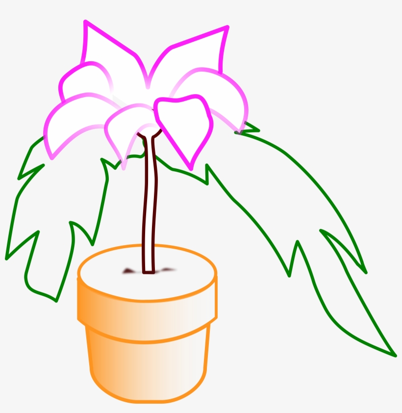 Planta Png, transparent png