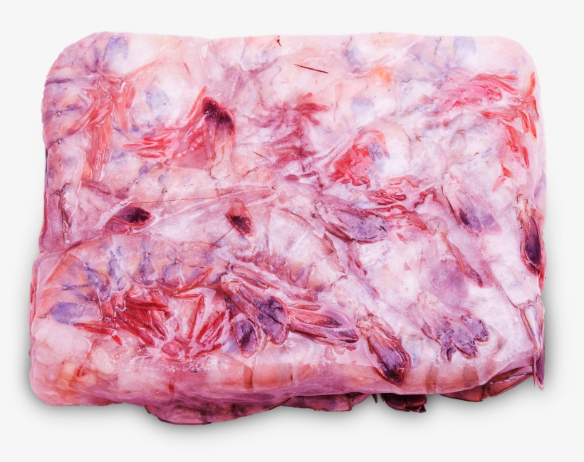 Camarón U - - Pork Belly, transparent png