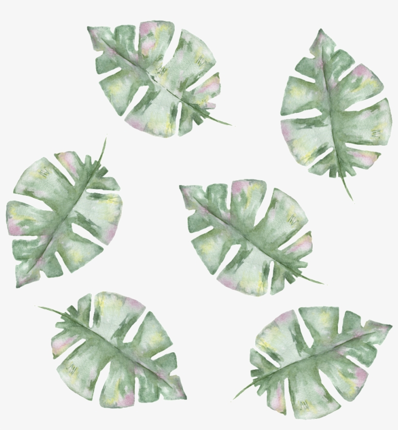 Png Transparente Para Verde Pintada A Mano Las Hojas - Portable Network Graphics, transparent png