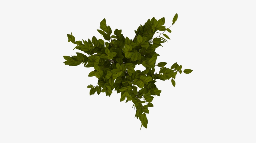 Index Of /mueblespng/arboles - Tree, transparent png