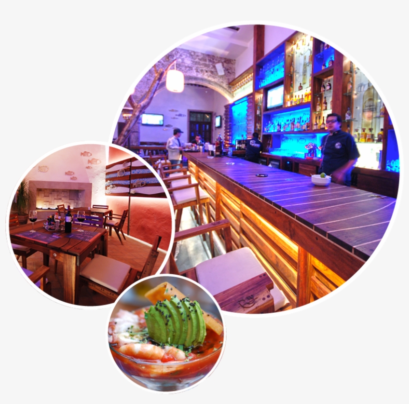 El Mejor Restaurante De Mariscos - Shellfish, transparent png