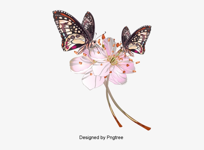 Desenho Pintado À Mão Borboleta Padrão De Design - Cartoon, transparent png