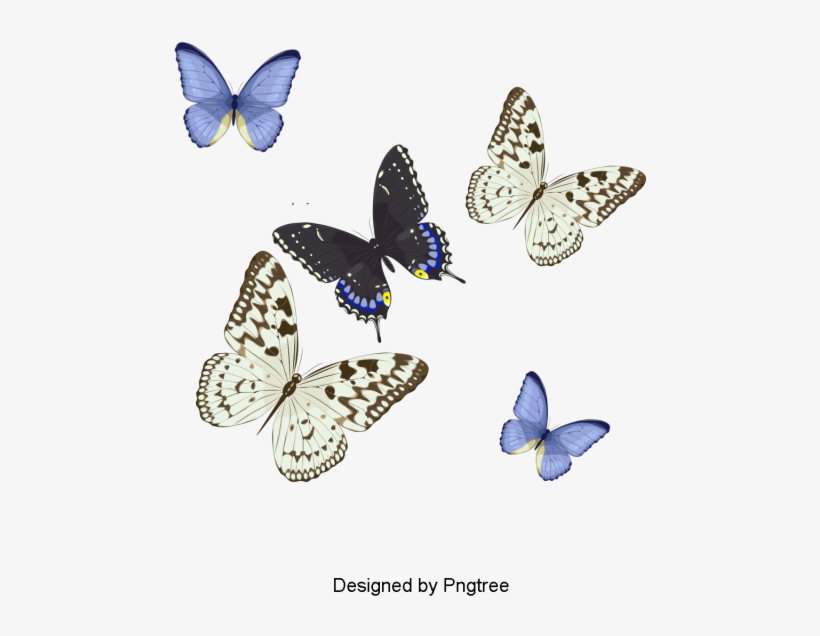 Desenho Pintado À Mão Borboleta Padrão De Design - Comics, transparent png