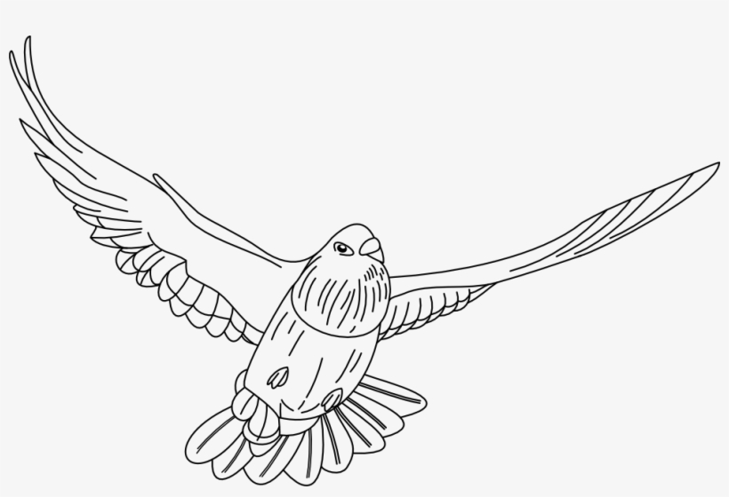 Fichero Pdf - Infografia Sobre La Paz, transparent png