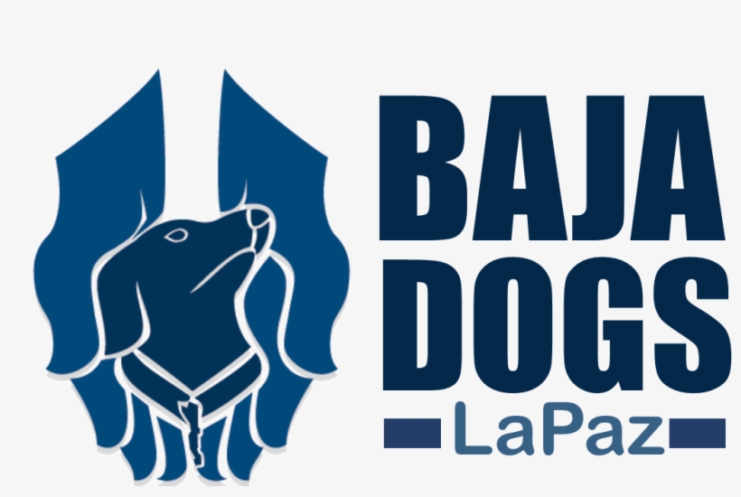 Baja Dogs La Paz, - White Lives Matter Sticker, transparent png