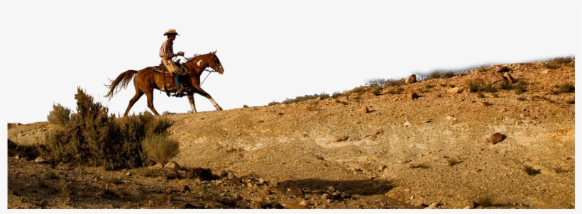 Rockin' R Ranch - Cowboy On Horse Transparent Png, transparent png