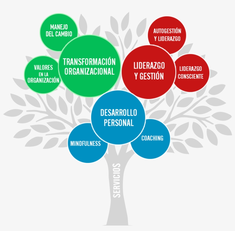 Silvio Raij Árbol De Servicios - Arbol De Desarrollo Personal, transparent png