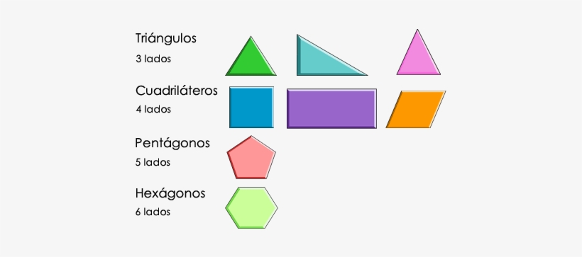 Por El Número De Lados, Los Polígonos Se Organizan - Caracteristicas De Figuras Geometricas, transparent png