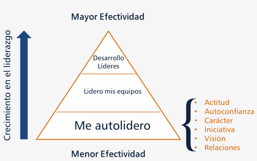 Si Una De Estas Áreas Está Débil, Su Liderazgo Se Ve - Triangle, transparent png