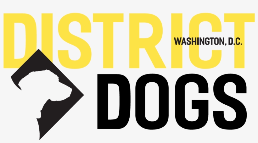 District Dog Logo - Heeton Holdings, transparent png