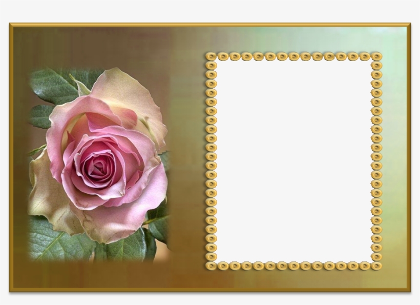 Molduras Para Fotos Com Flores Trabalho De Terezinha - Molduras Para Fotos E Flores, transparent png