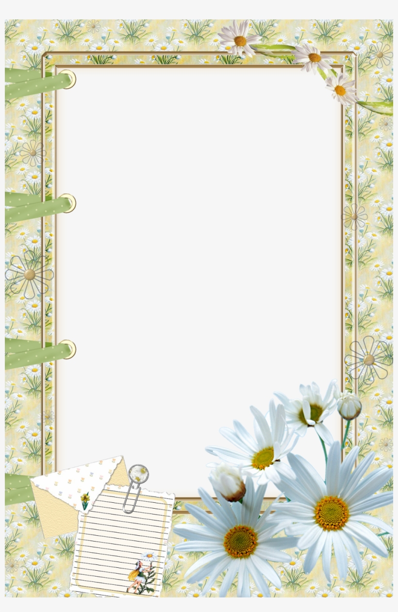 Japeri Tic Tac - Camomile, transparent png