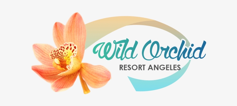 Wild Orchid Resort Angeles - Anthurium, transparent png