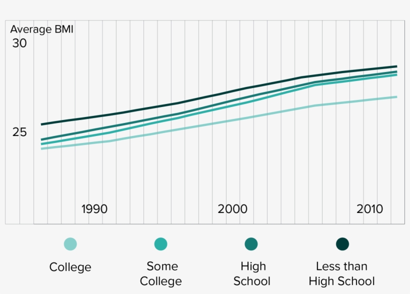 Test Education Obesity Fixed - Education, transparent png