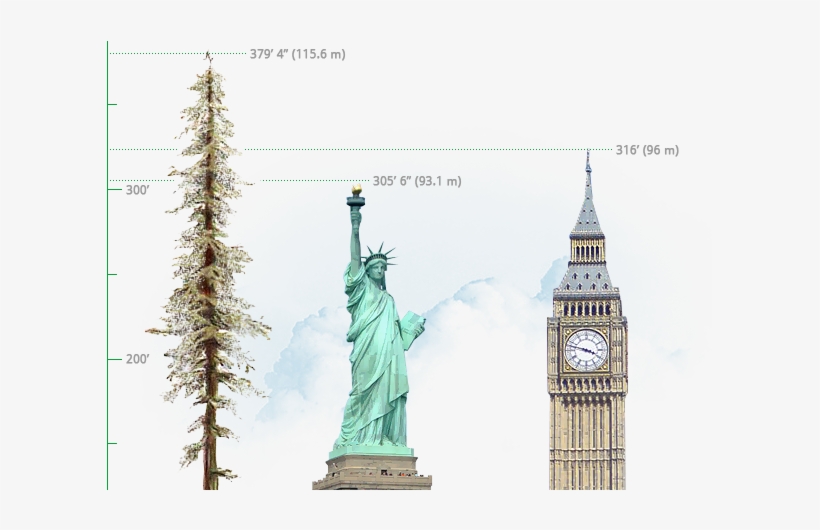 Comparación De Hyperion Respecto A La Estatua De La - Statue Of Liberty, transparent png