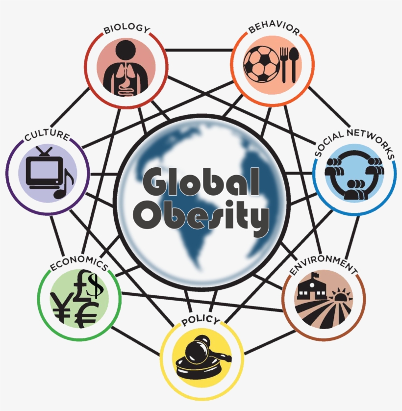 Global Obesity New Wheel - Global Obesity Prevention Center, transparent png