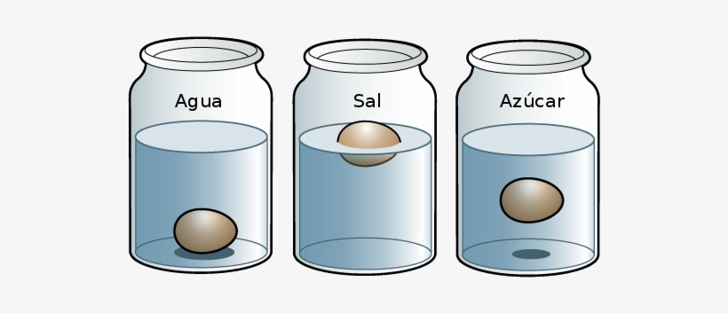 Observa Que El Huevo Se Hunde - Experimentos De Los Estados De La Materia, transparent png