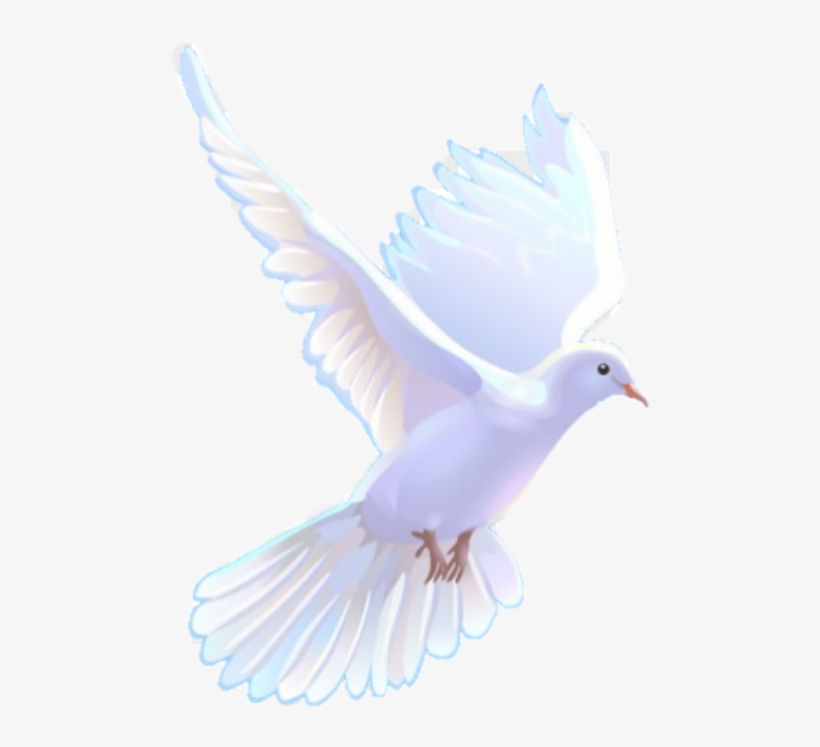 Las Quejas Del Espiritu Santo: Este Es Un Libro Acerca, transparent png