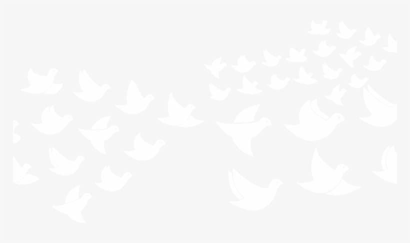 Group Dove Vector, transparent png