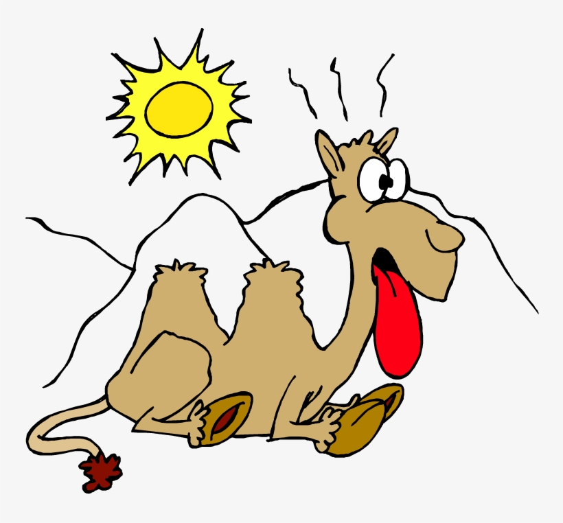 Heat Wave Coming - Custom Hot Camel Mugs, transparent png