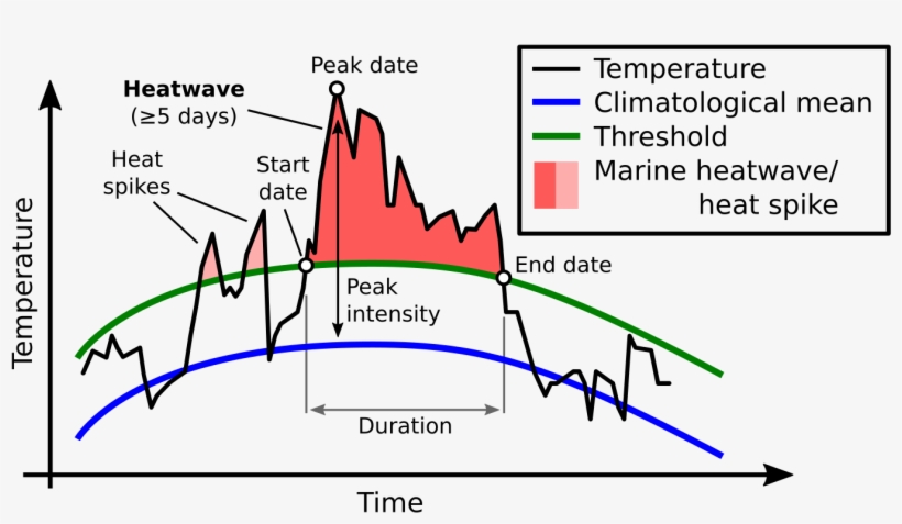 Picture - Marine Heatwave, transparent png