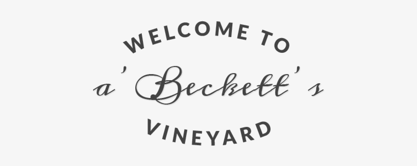 Welcome To A'becketts Vineyard - Vera Bradley Frill- Got It Handled, Call Me Coral, transparent png