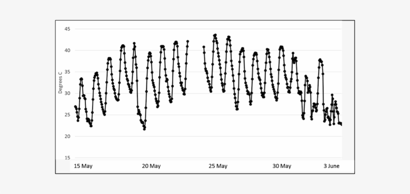 Hourly Data From The Punjabi Bagh Station In New Delhi - Human Adaptation In Delhi, transparent png