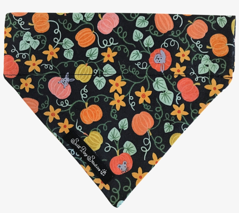 Image - Pumpkin, transparent png