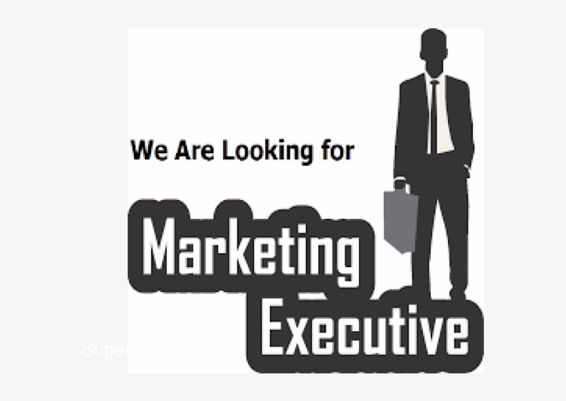 Skills And Experiences - Need Marketing Executive, transparent png