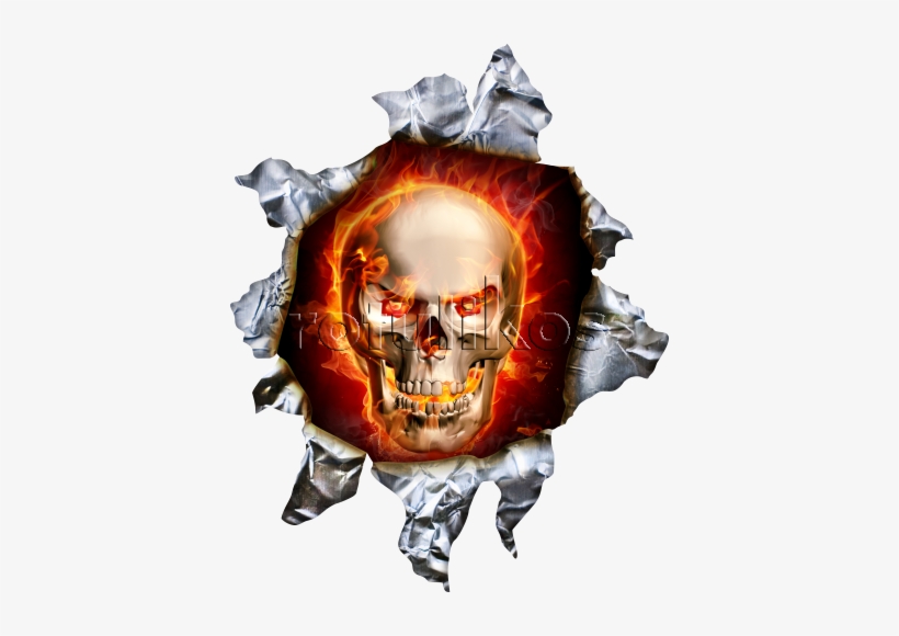 Skull, transparent png