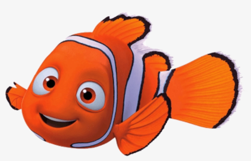 Clipart Stock Clipart Nemo Buscando A Dory Nemo 1024x1024 Png Download Pngkit