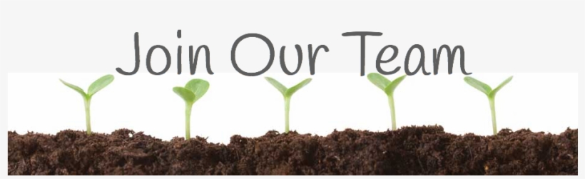 Join Our Team Banner - Seedling, transparent png