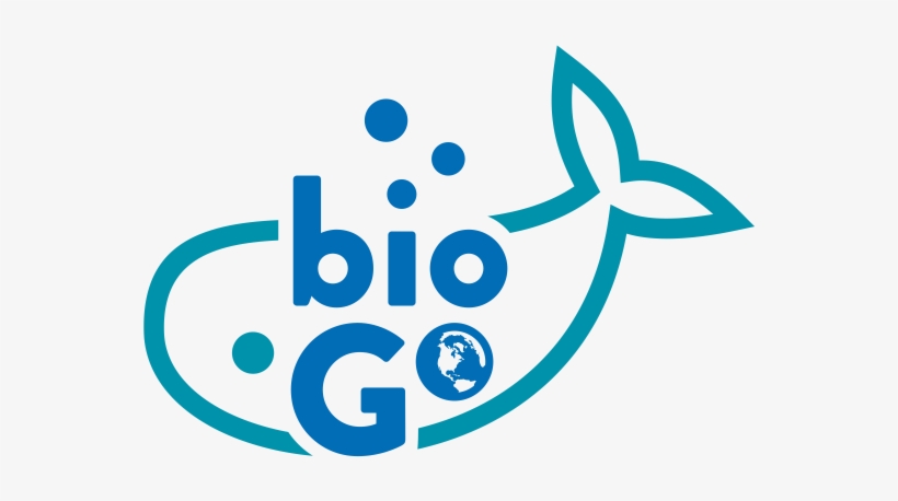 Logo - Graphic Design, transparent png