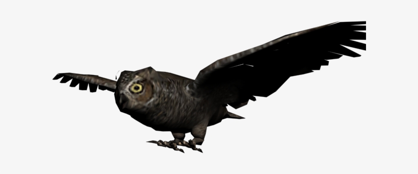 Buho - Buho Png, transparent png